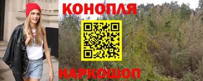крисы Конаково