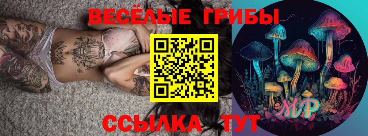продажа наркотиков  Галлюциногенные грибы мицелий  Киров  Вход с VPN  Галлюциногенные грибы мухоморы 
